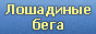 Новые сообщения